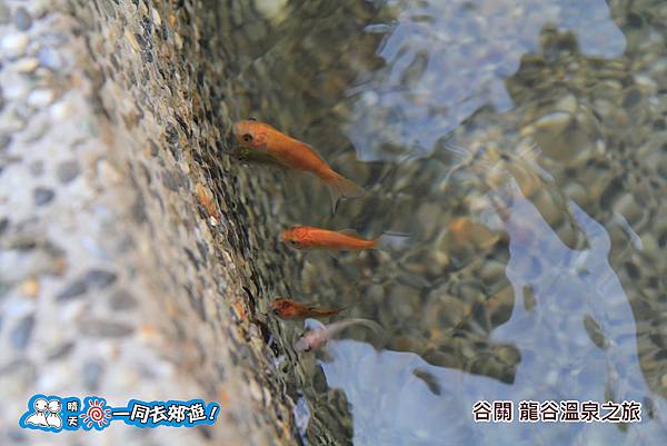 20141130-083.jpg 20141130-083.jpg