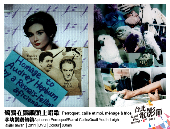 137鵪鶉在鸚鵡頭上唱歌 Perroquet caille et moi ménage à trios.jpg