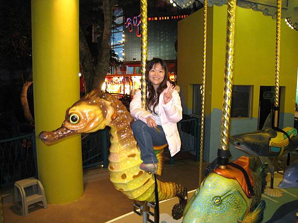 IMG_0529 IMG_0529