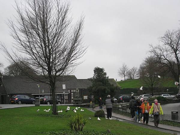 IMG_0138