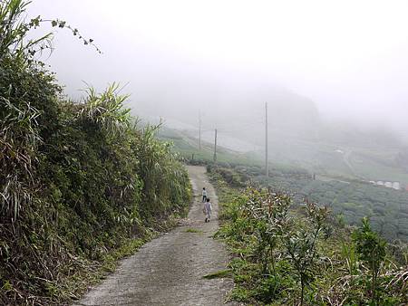 P1070151_resize.JPG P1070151_resize.JPG