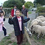 DSC04429_resize.JPG DSC04429_resize.JPG
