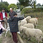 DSC04428_resize.JPG DSC04428_resize.JPG