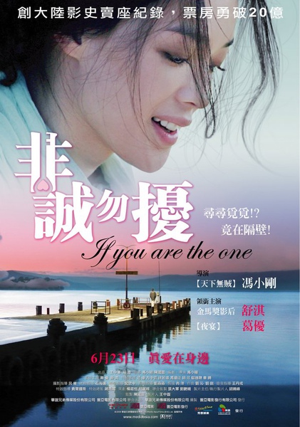 非誠勿擾(If You Are the One).jpg