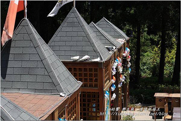 第二天(清境瑞士小花園) (18)