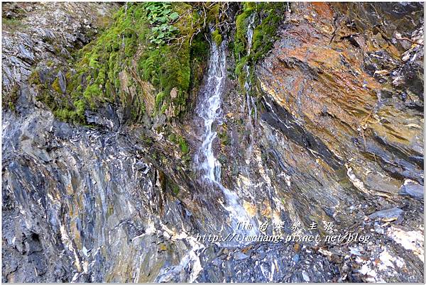 P1140695.jpg P1140695.jpg