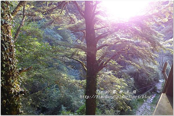 P1140737.jpg P1140737.jpg