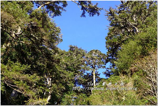 P1140740.jpg P1140740.jpg