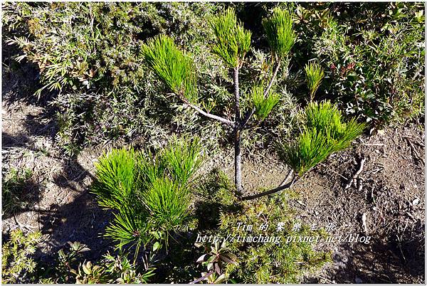 P1140770.jpg P1140770.jpg