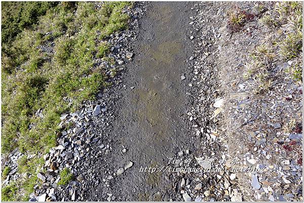 P1150040.jpg P1150040.jpg