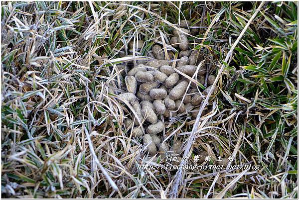 嘉明湖 (30).jpg 嘉明湖 (30).jpg