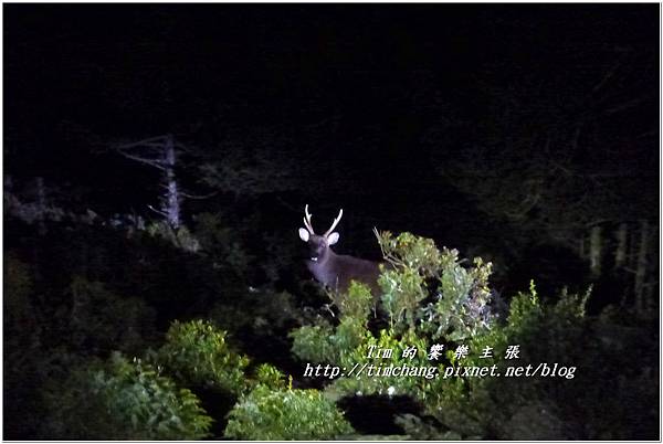 避難小屋 (14).jpg 避難小屋 (14).jpg