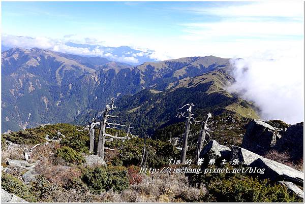 向陽山 (1).jpg 向陽山 (1).jpg