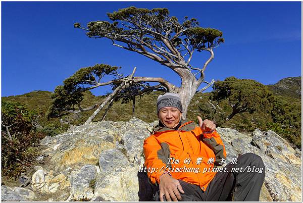 向陽樹 (5).jpg 向陽樹 (5).jpg