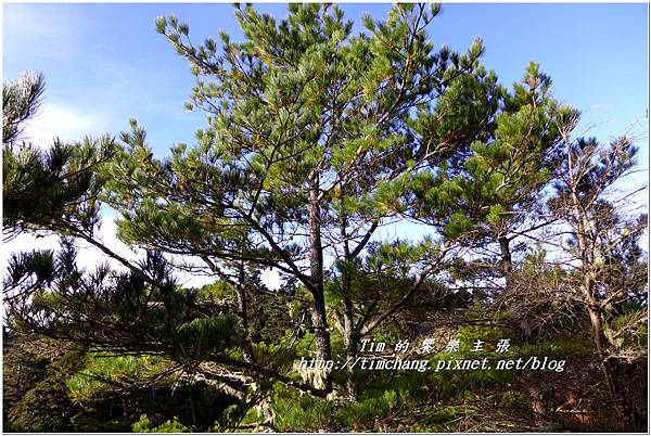 P1140755.jpg P1140755.jpg