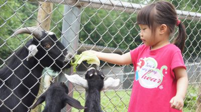 0520-35.jpg 0520-35.jpg