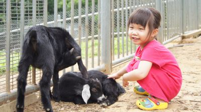 0520-38.jpg 0520-38.jpg