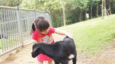 0520-37.jpg 0520-37.jpg