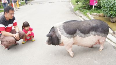 0520-31.jpg 0520-31.jpg