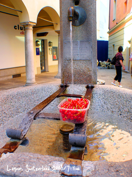 P7150295.jpg P7150295.jpg