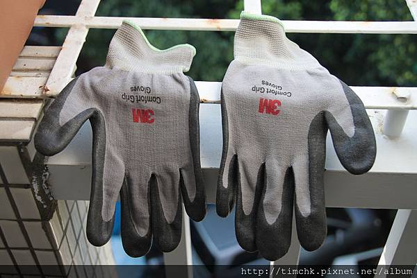 IMG_6896.JPG IMG_6896.JPG