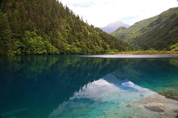 九寨溝 老虎海 九寨溝 老虎海
