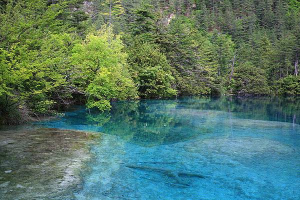九寨溝 火花海 九寨溝 火花海