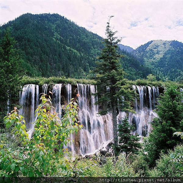 九寨溝 諾日朗瀑布 九寨溝 諾日朗瀑布