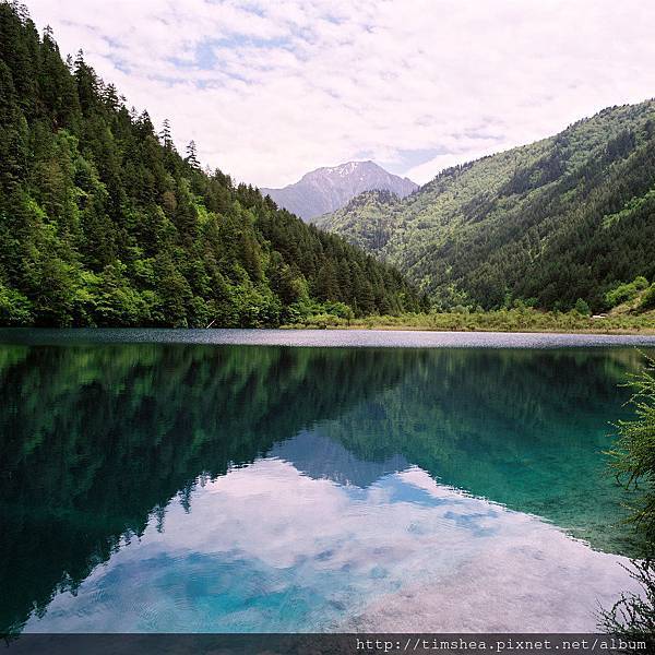 九寨溝 老虎海 九寨溝 老虎海