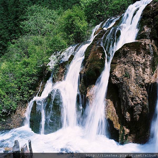 九寨溝 樹正瀑布 九寨溝 樹正瀑布