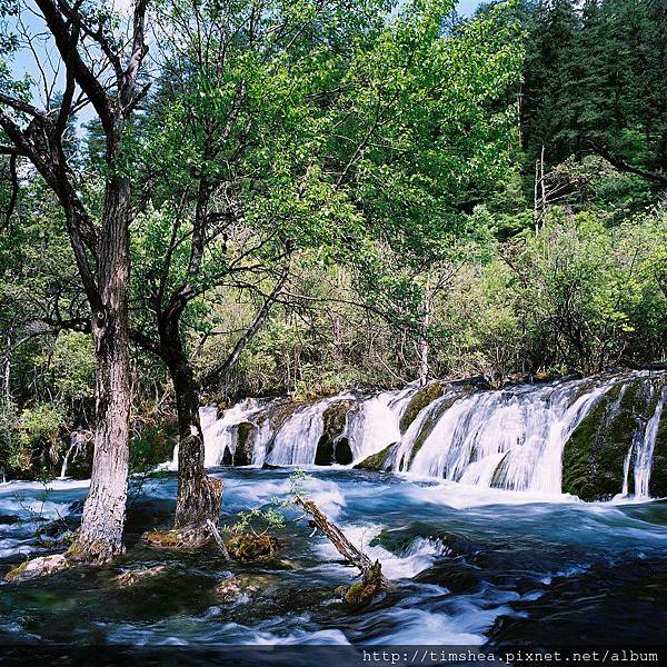 九寨溝 樹正群海 九寨溝 樹正群海
