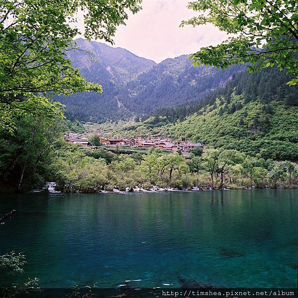 九寨溝 雙龍海 九寨溝 雙龍海