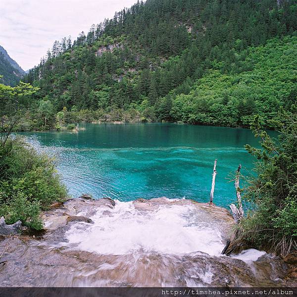 九寨溝 雙龍海 九寨溝 雙龍海