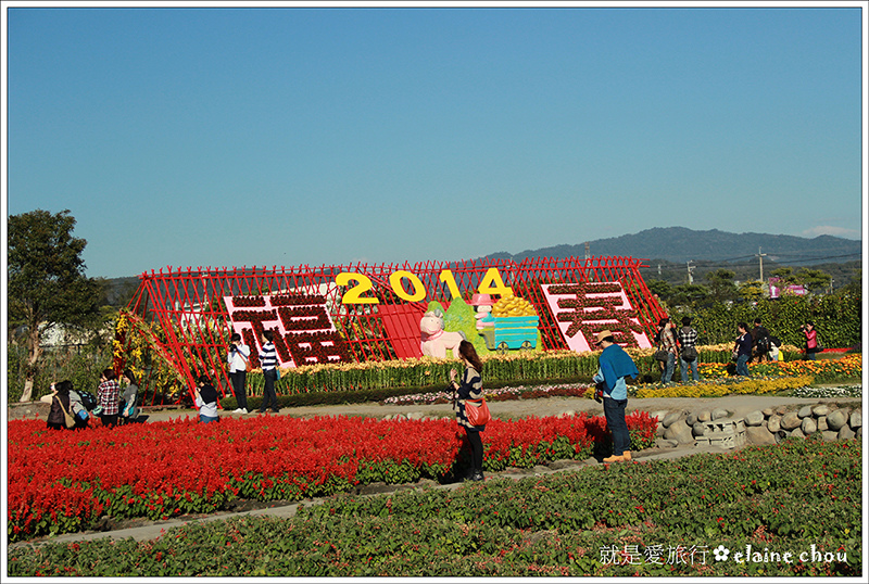 中社觀光花市19.jpg
