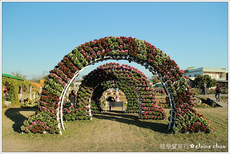 中社觀光花市34.jpg