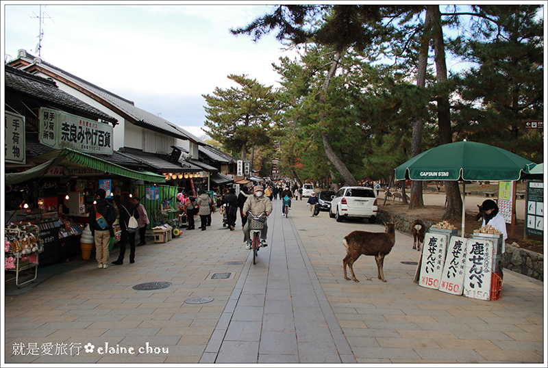 東大寺01.jpg