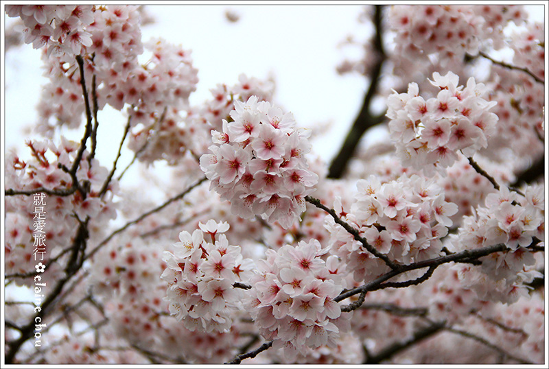 篠山城跡07.jpg 篠山城跡07.jpg
