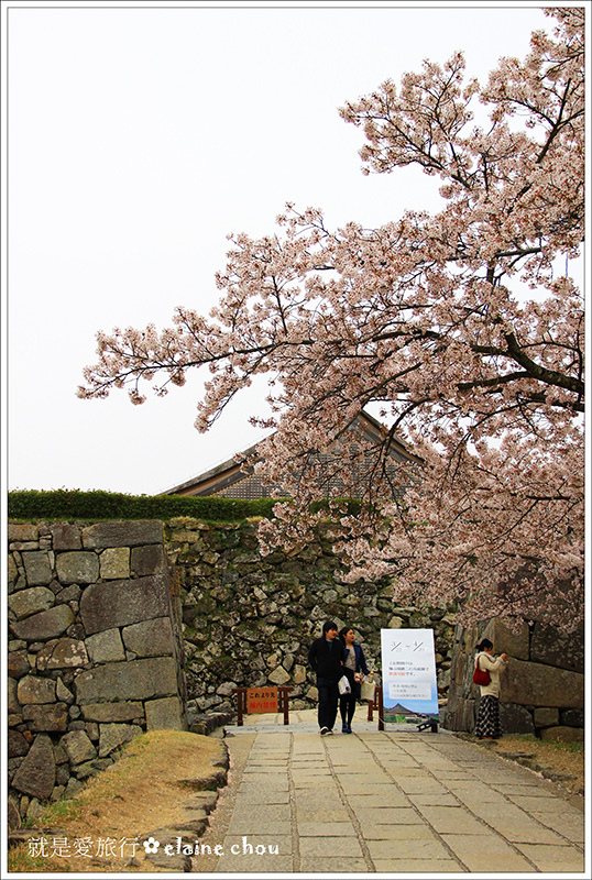 篠山城跡12.jpg 篠山城跡12.jpg