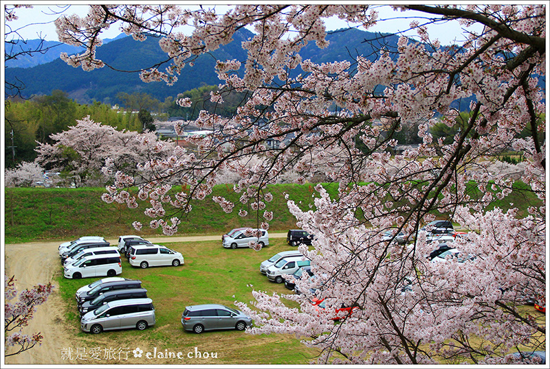 篠山城跡21.jpg 篠山城跡21.jpg