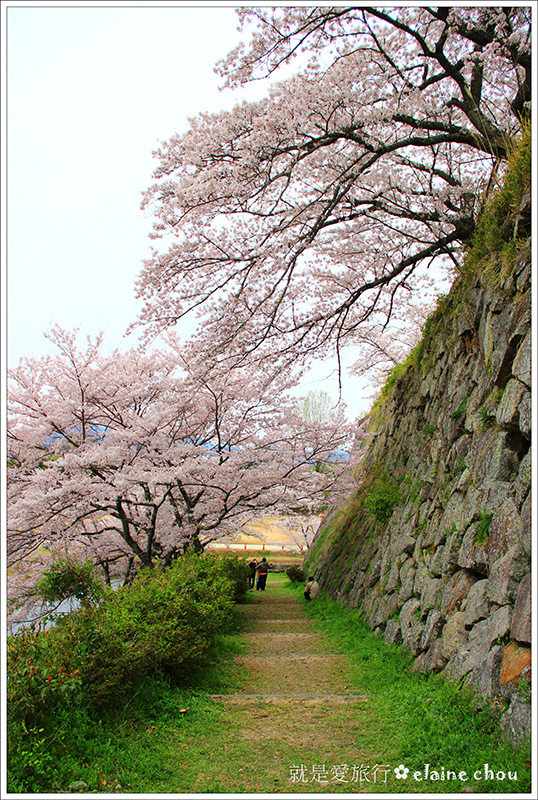 篠山城跡23.jpg 篠山城跡23.jpg