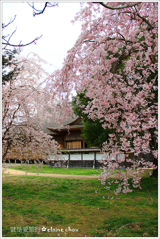 篠山城跡33.jpg 篠山城跡33.jpg