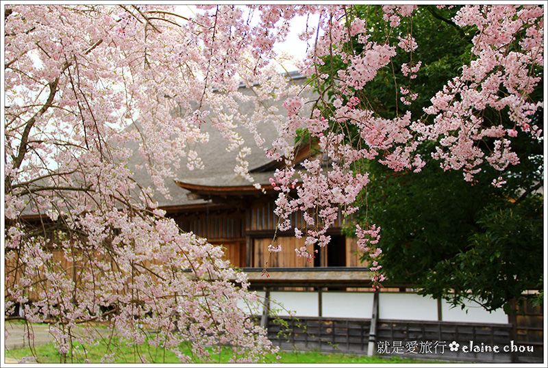篠山城跡35.jpg 篠山城跡35.jpg