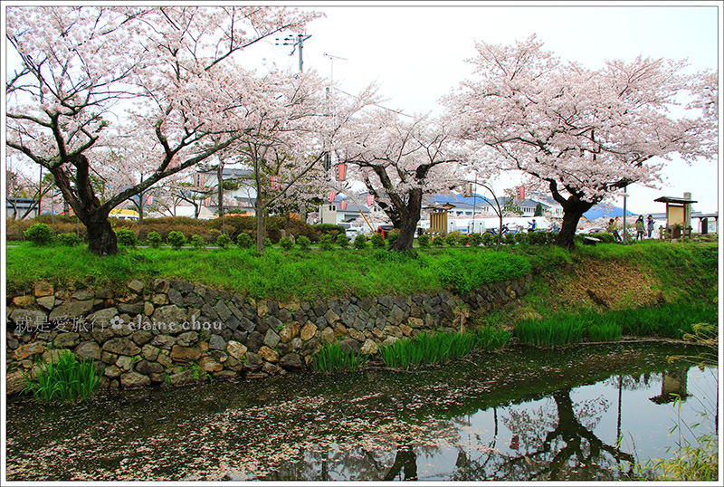 篠山城跡38.jpg 篠山城跡38.jpg