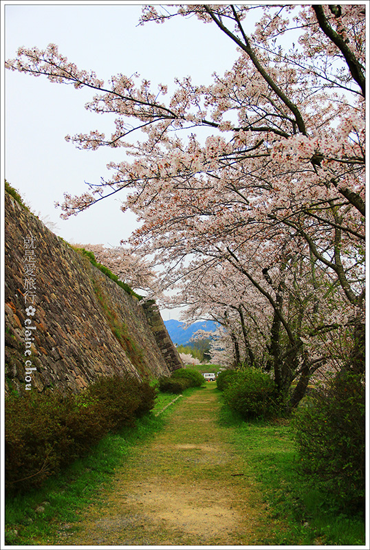篠山城跡41.jpg 篠山城跡41.jpg