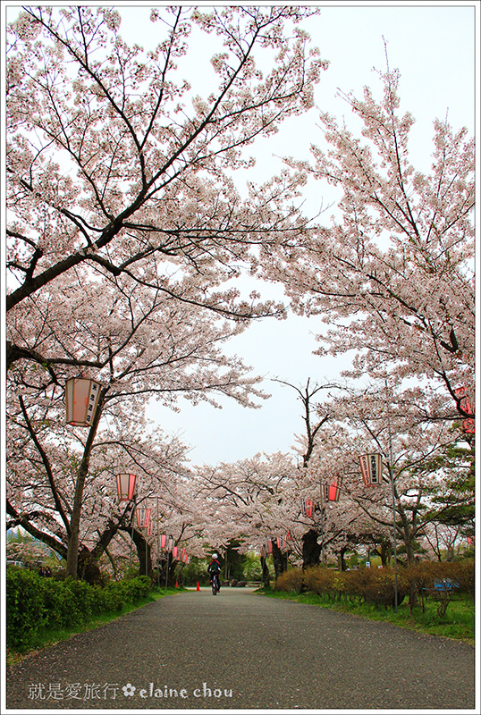篠山城跡43.jpg 篠山城跡43.jpg
