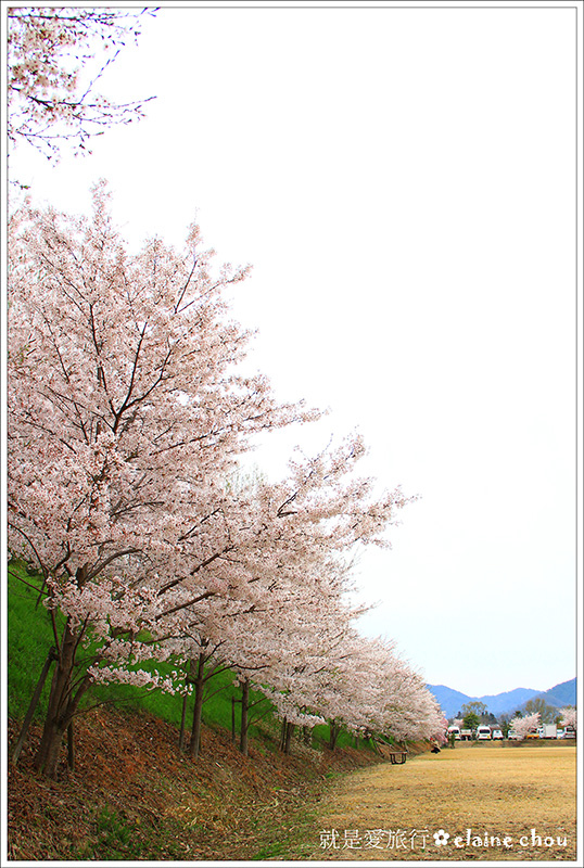 篠山城跡54.jpg 篠山城跡54.jpg