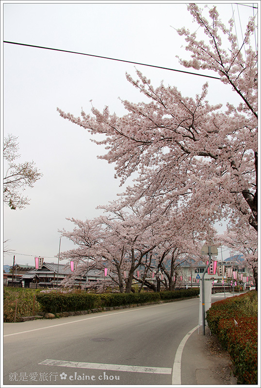 篠山城跡58.jpg 篠山城跡58.jpg