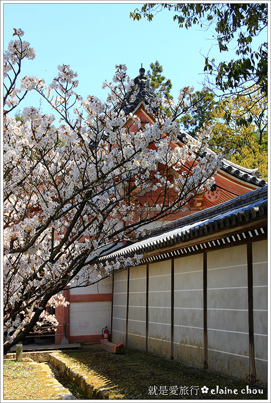 仁和寺39.jpg 仁和寺39.jpg