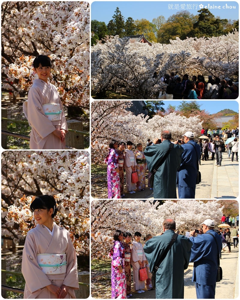 仁和寺72.jpg 仁和寺72.jpg