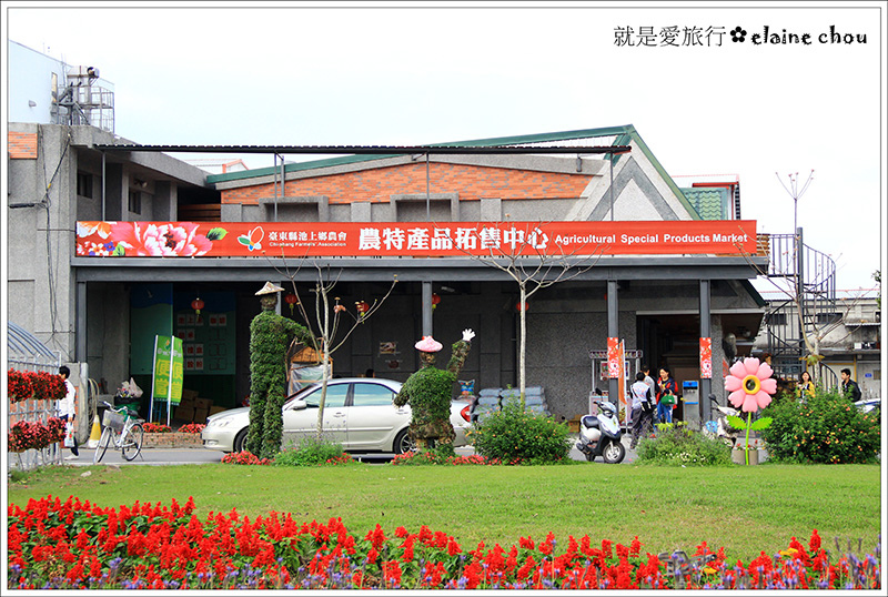 池上鄉農會四季花海02.jpg 池上鄉農會四季花海02.jpg